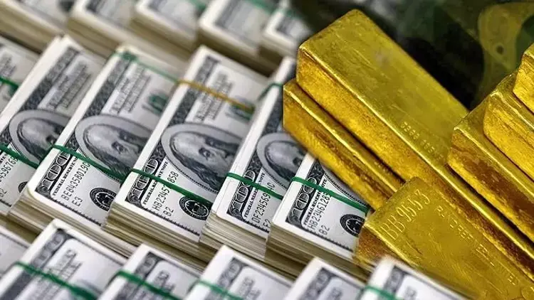 Merkez Bankası'nın Döviz Rezervleri 178,3 Milyar Dolar Seviyesinde Rekor Kırdı